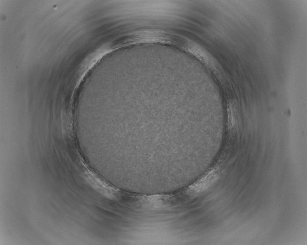 X0000077290828200611171625