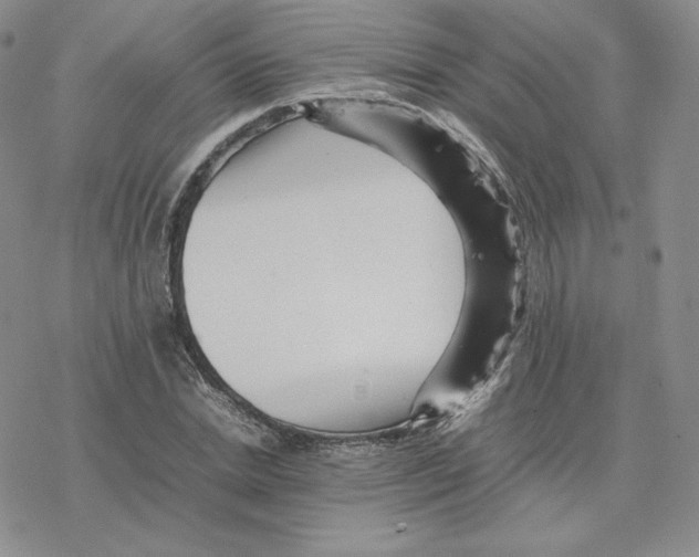 X0000077290830200611171625