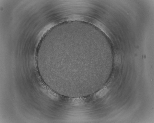 X0000077290832200611171625