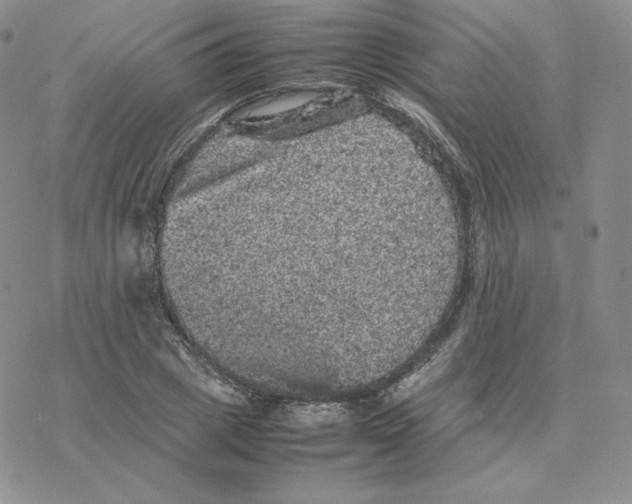 X0000077290833200611171625