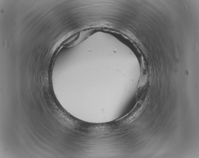 X0000077290834200611171625