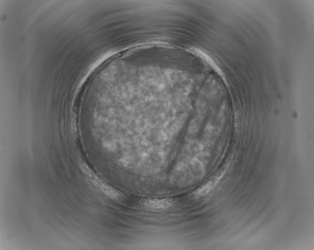 X0000077290835200611171625