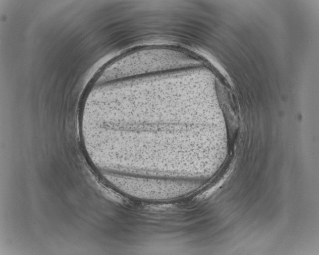 X0000077290837200611171625