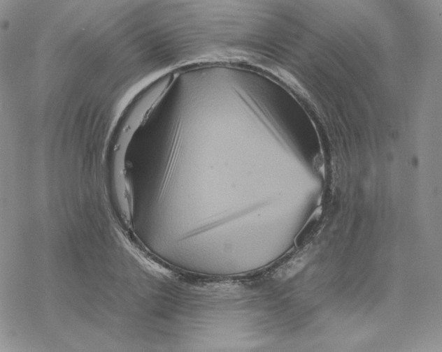 X0000077290838200611171625