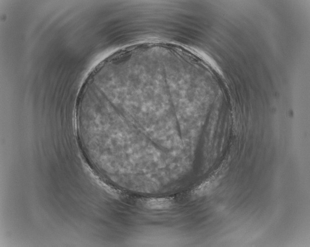 X0000077290839200611171625