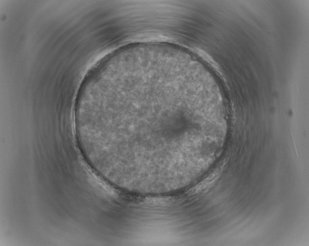 X0000077290840200611171625