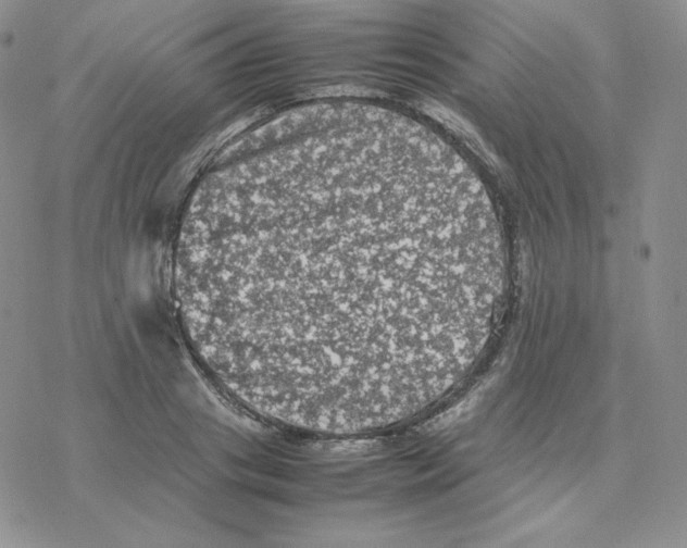 X0000077290841200611171625