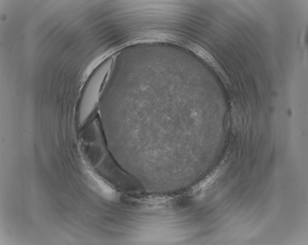 X0000077290842200611171625