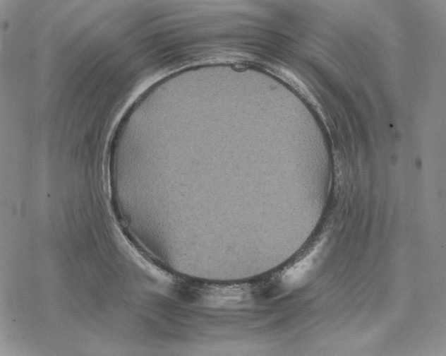 X0000077290843200611171625