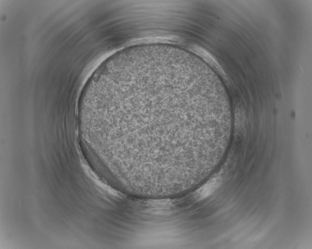 X0000077290844200611171625