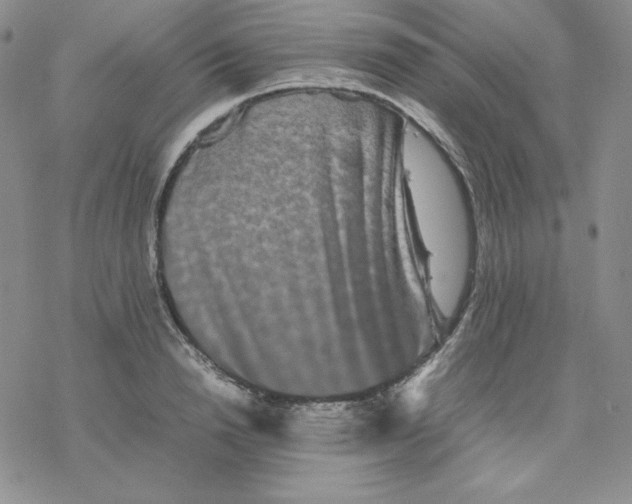 X0000077290846200611171625