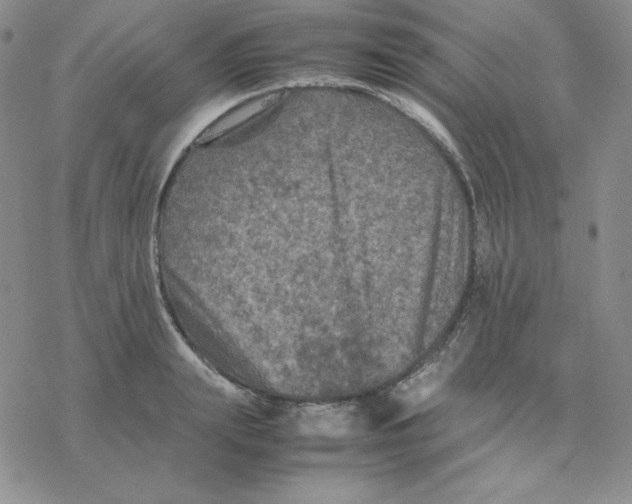 X0000077290847200611171625