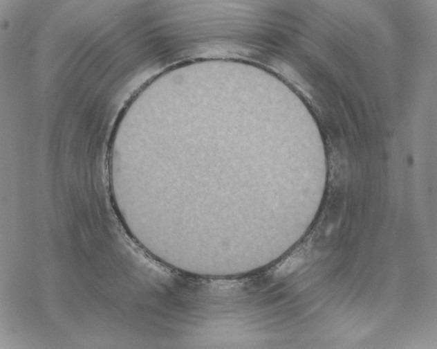 X0000077290848200611171625