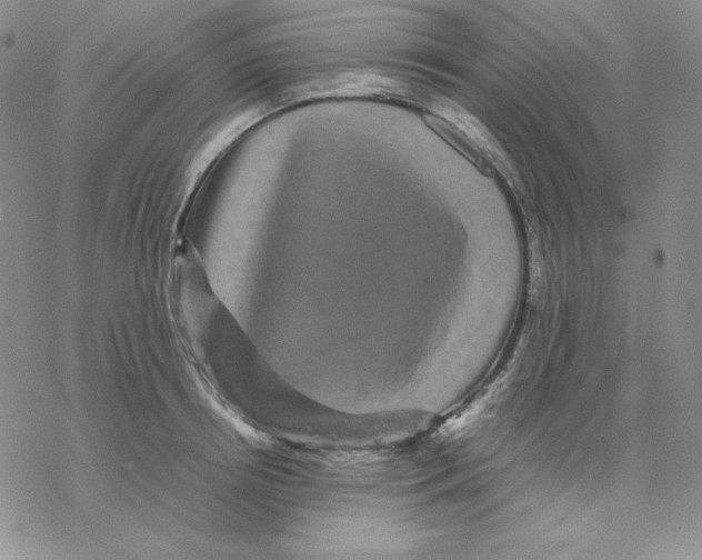 X0000077290850200611171625