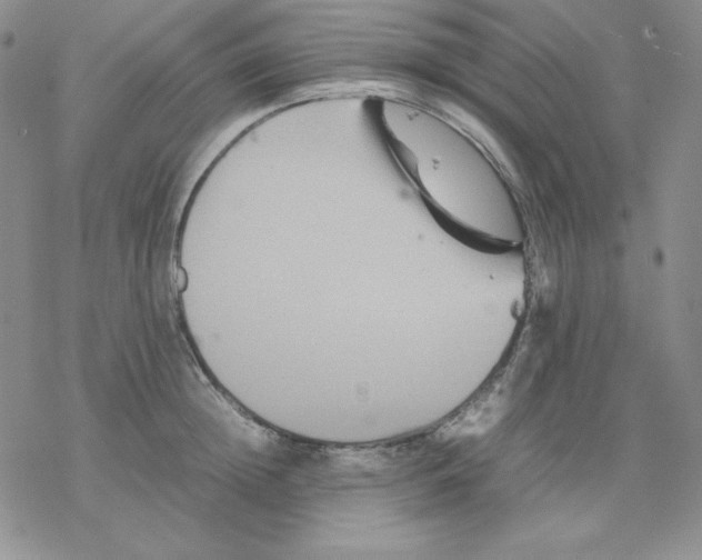 X0000077290852200611171625