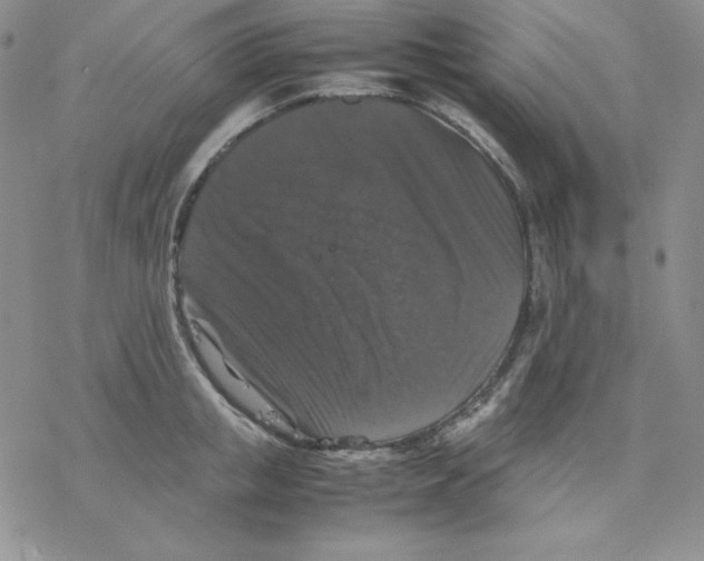 X0000077290853200611171625