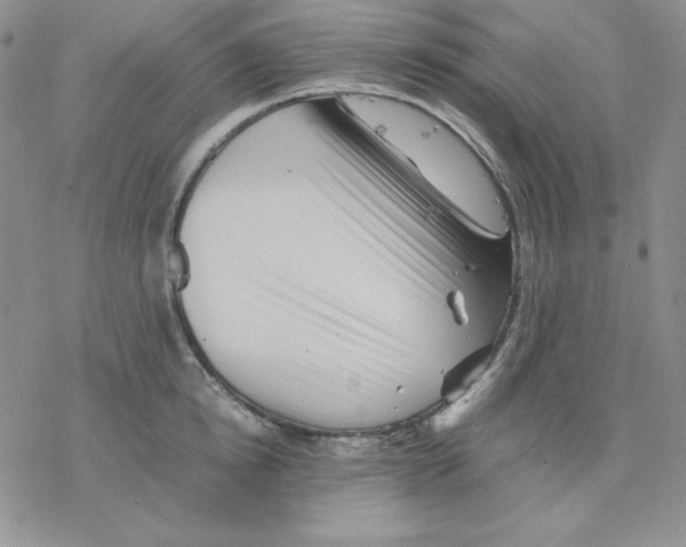 X0000077290854200611171625