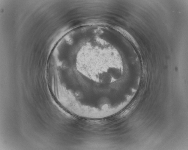 X0000077290855200611171625