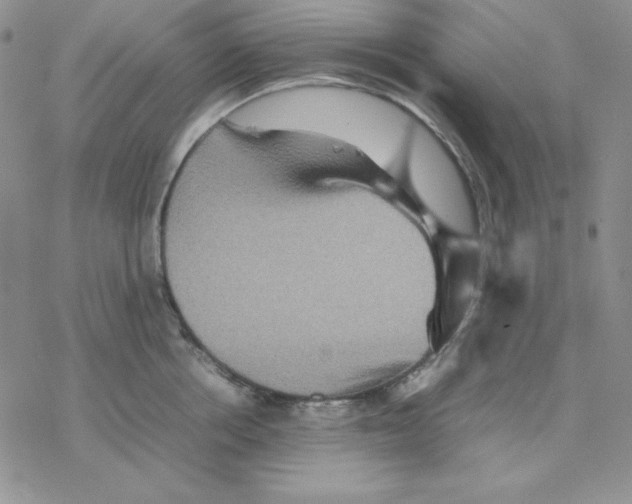 X0000077290858200611171625