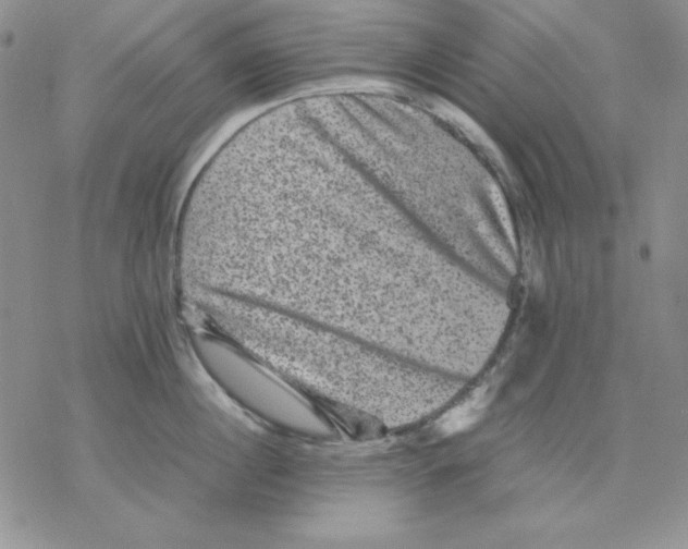 X0000077290860200611171625