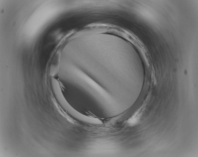 X0000077290862200611171625