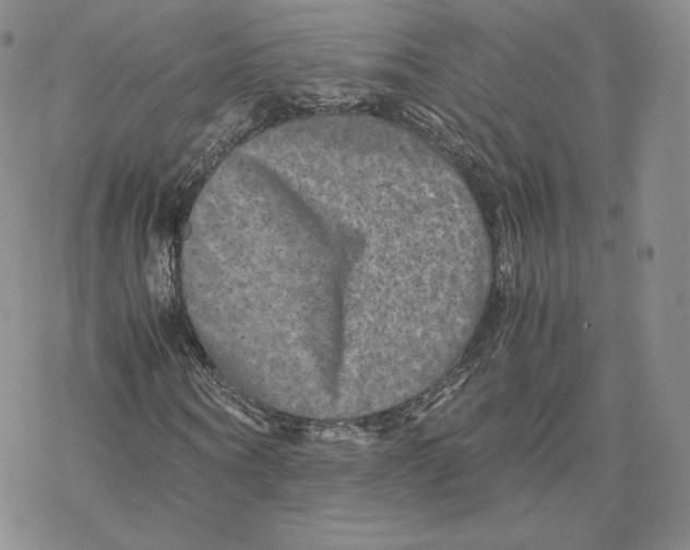 X0000077290866200611171625