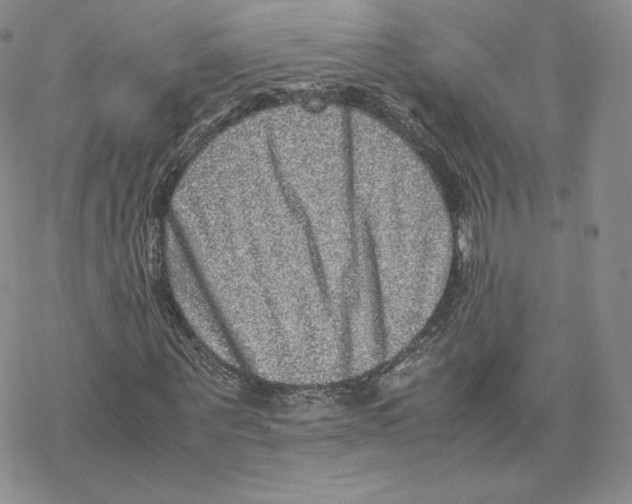 X0000077290867200611171625