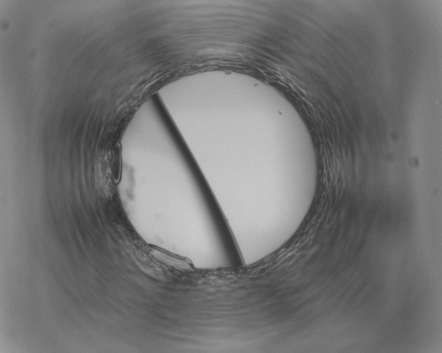 X0000077290868200611171625