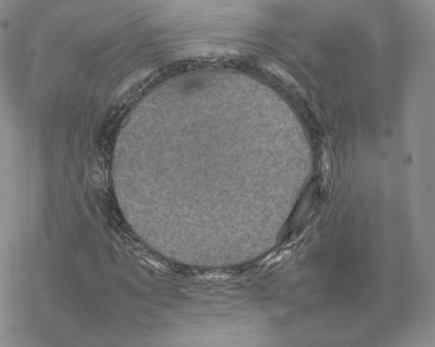 X0000077290869200611171625