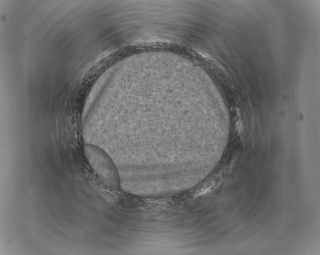 X0000077290870200611171625