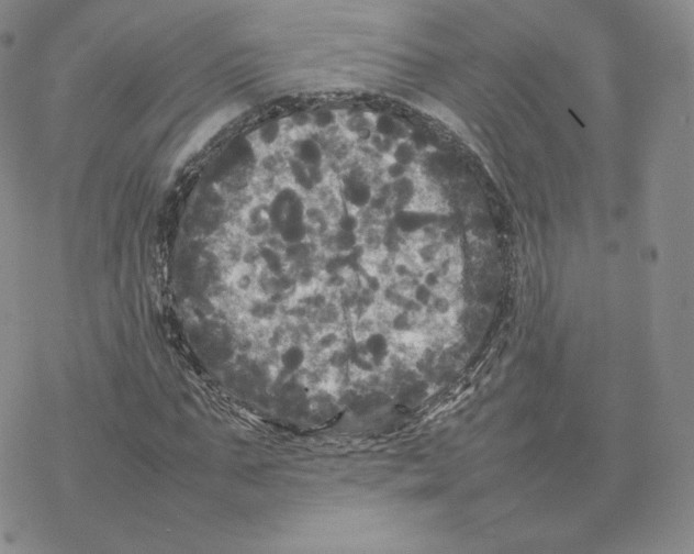 X0000077290871200611171625