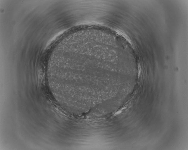 X0000077290872200611171625