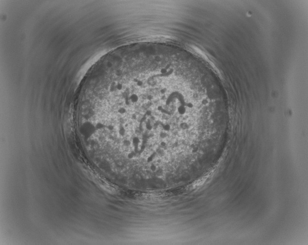 X0000077290875200611171624