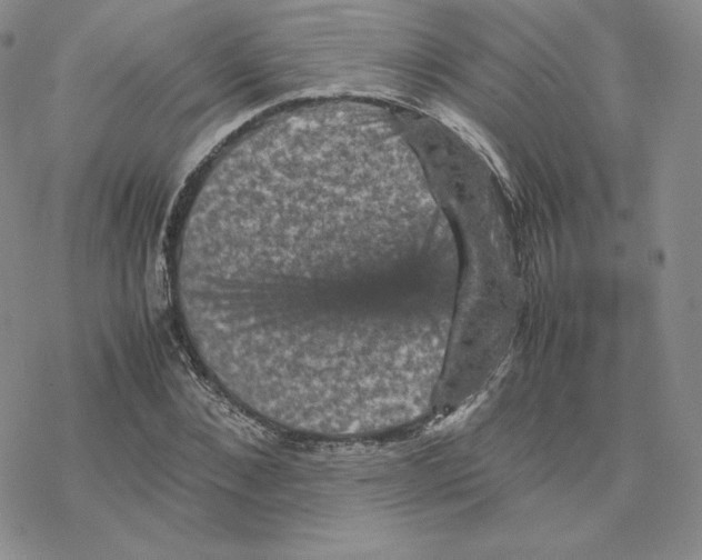 X0000077290876200611171624