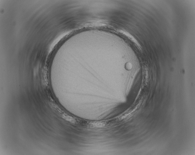 X0000077290878200611171624