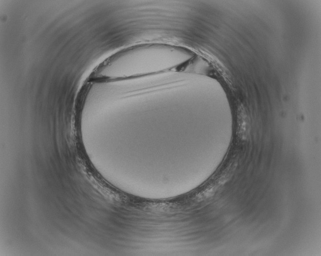 X0000077290880200611171624