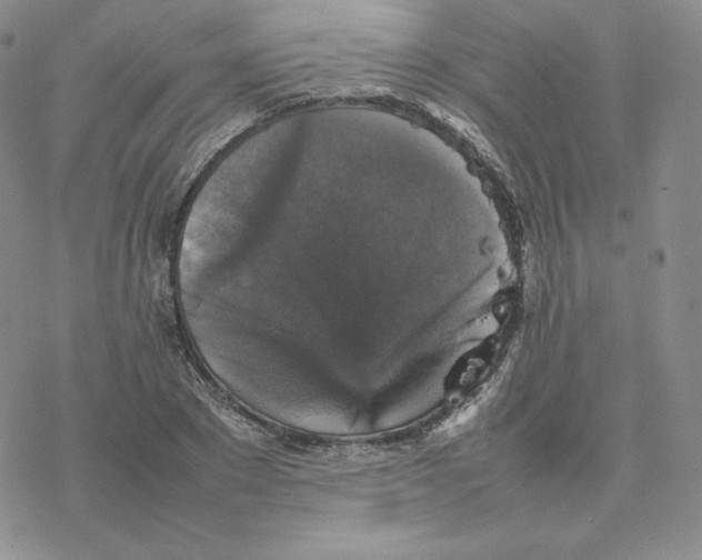 X0000077290881200611171624