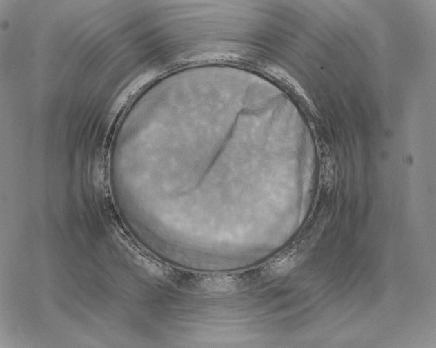 X0000077290882200611171624