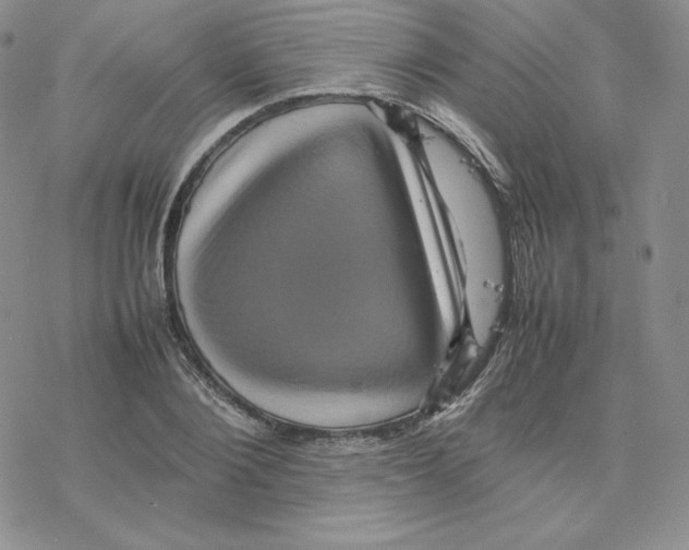 X0000077290884200611171624