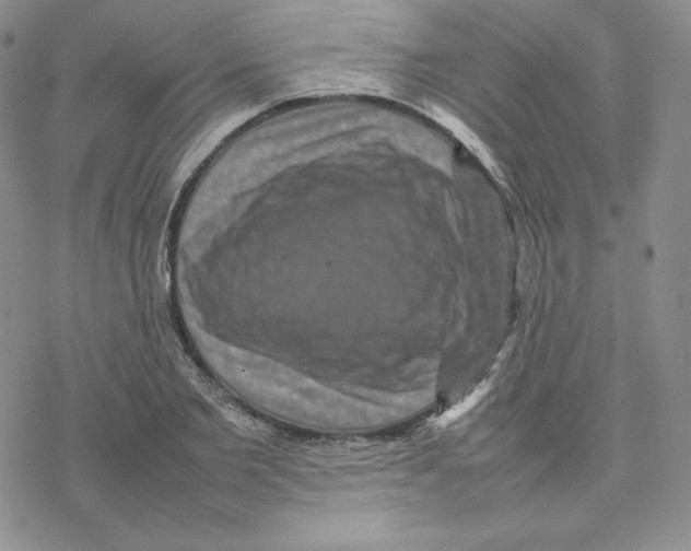 X0000077290885200611171624