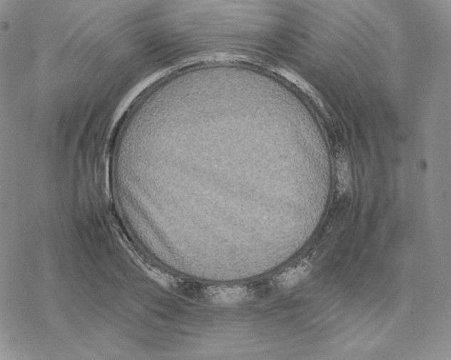 X0000077290886200611171624