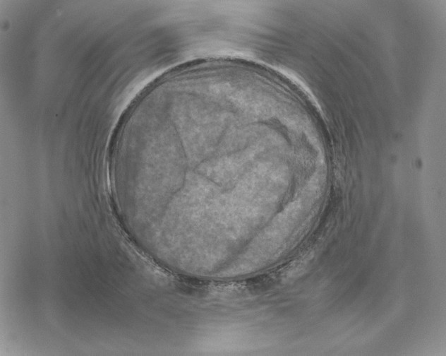 X0000077290887200611171624