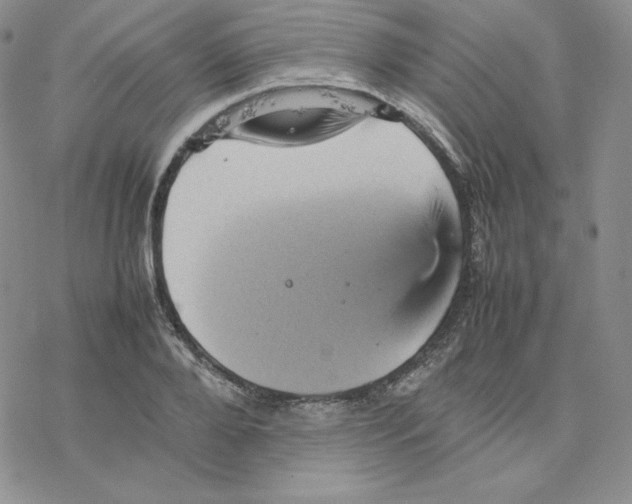 X0000077290888200611171624