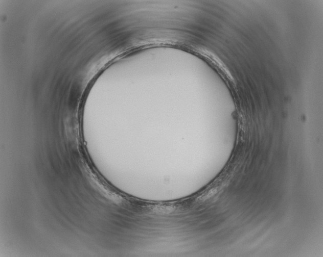 X0000077290890200611171624