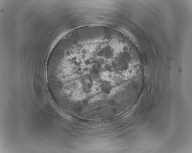 X0000077290891200611171624