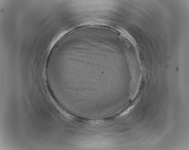 X0000077290893200611171624