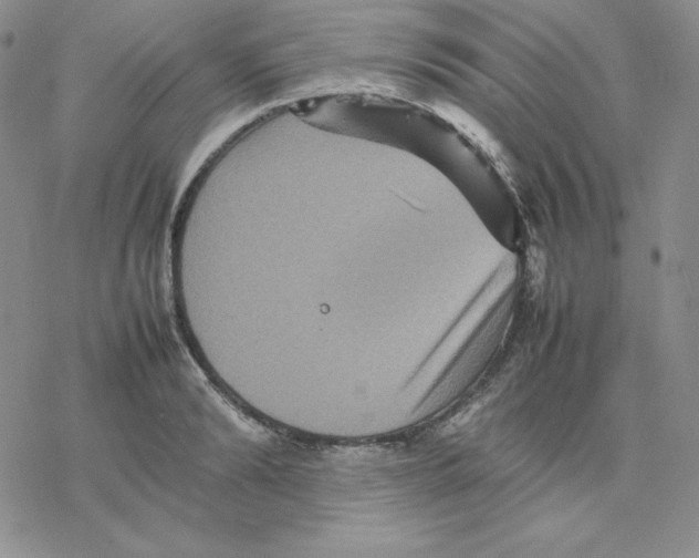 X0000077290894200611171624