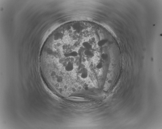 X0000077290895200611171624