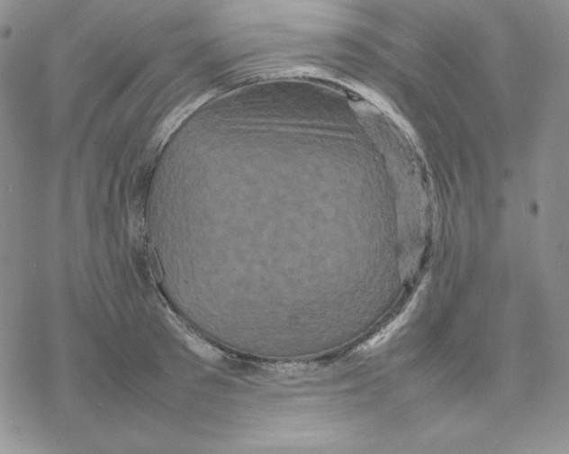 X0000077290897200611171624