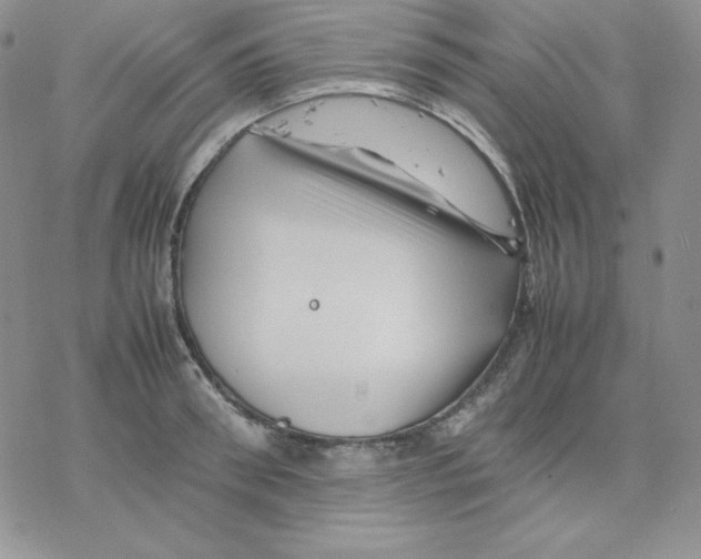 X0000077290898200611171624